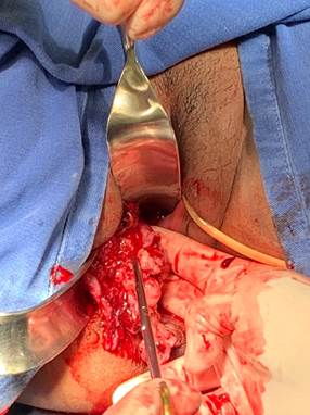 Uma imagem contendo pessoa, comida, vestindo, mesa
Descrição gerada automaticamente