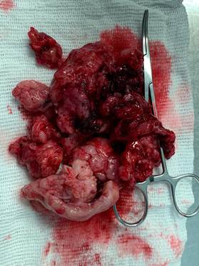 Carne em cima de mesa
Descrição gerada automaticamente com confiança baixa