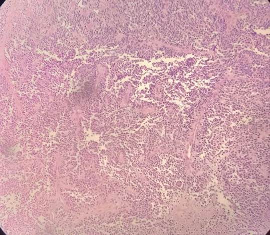 Mapa
O conteúdo gerado por IA pode estar incorreto.