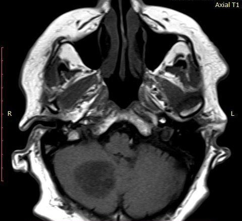 Uma imagem contendo mesa, mulher, segurando, homem
O conteúdo gerado por IA pode estar incorreto.
