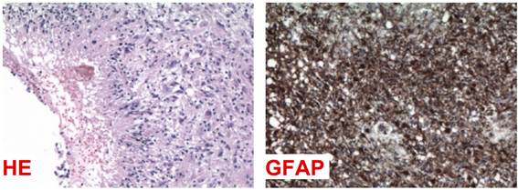 Código QR
O conteúdo gerado por IA pode estar incorreto.