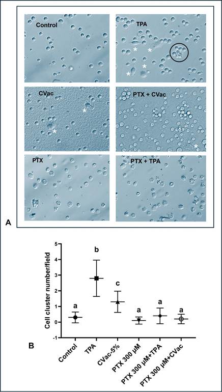 Calendário
Descrição gerada automaticamente