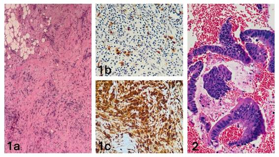 Tecido com estampa colorida

O conteúdo gerado por IA pode estar incorreto.